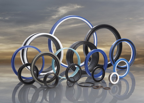 custom hydraulic seals manufacturing