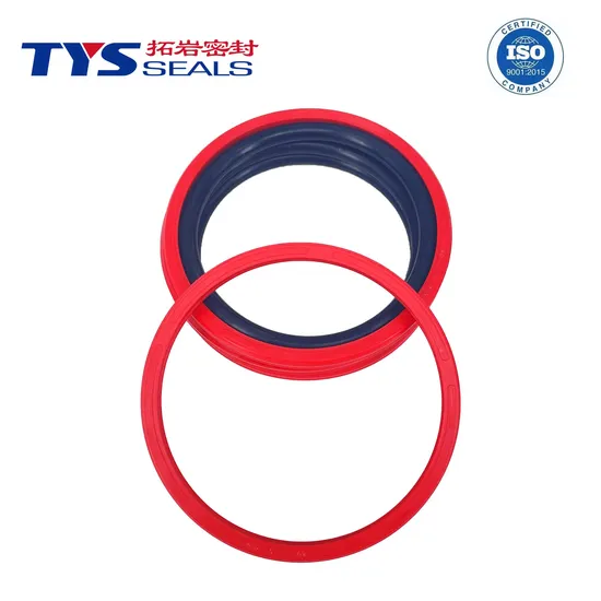 double acting valve manufacturing